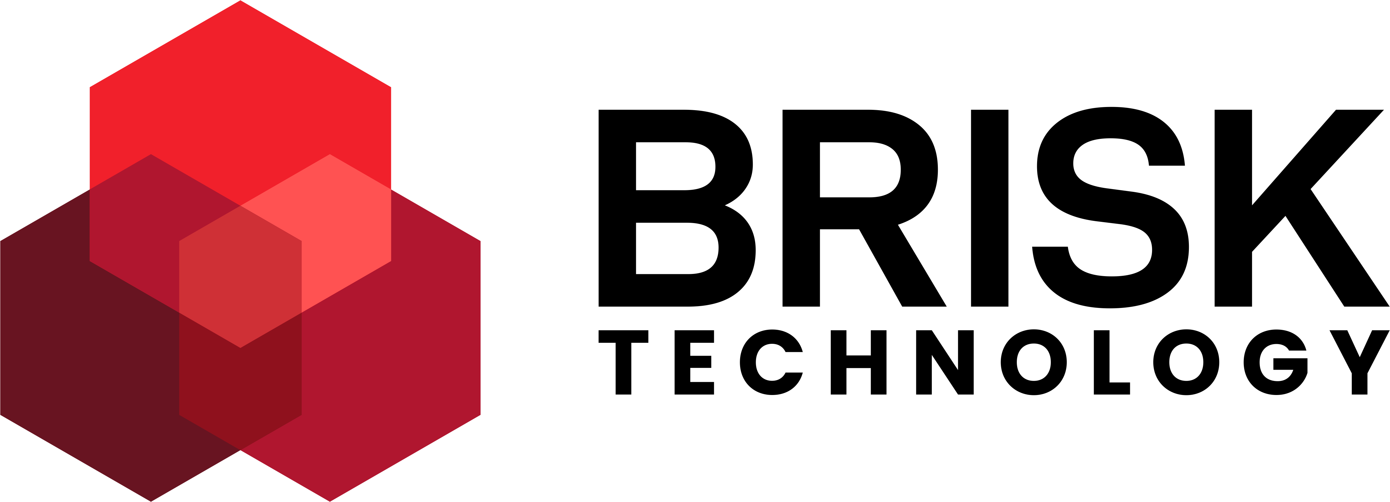 brisktech.ai